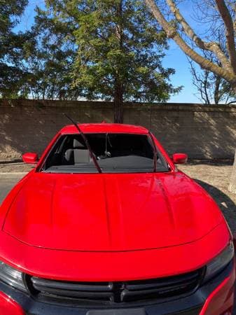 Mobile windshield replacement